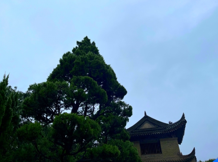 宜昌到西安【秦风唐韵】纯玩品质4日游图3