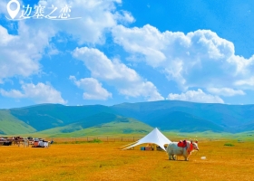 宜昌去西北旅游大概要花费多少钱？/旅行团推荐【边塞之恋】纯玩四钻8日游