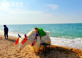 宜昌到西北甘青只需花费几百块/特价优惠/有哪些景点【乐游甘青】青海+甘肃大环线双飞8日游