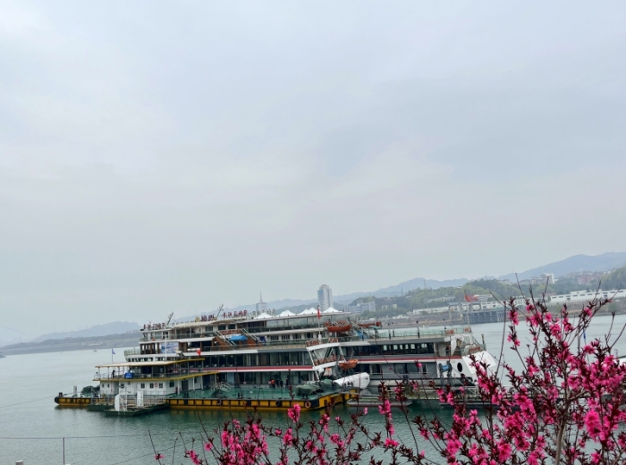 乘豪华游船过葛洲坝船闸览高峡出平湖【两坝一峡】一日游图3