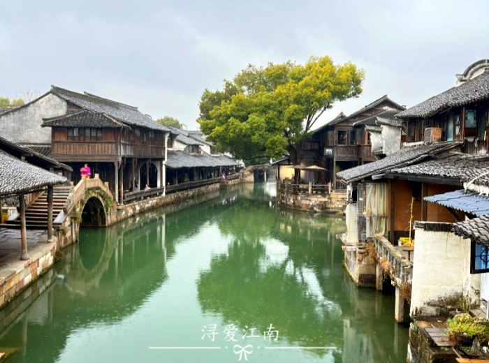 宜昌到华东五市（南京+扬州+苏州+杭州+上海）旅游的团购价格以及景点和游玩攻略【纯净江南】双动纯玩5日游图2