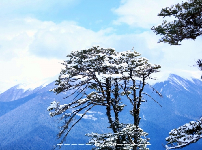 宜昌到西藏桃花季出游行程攻略/跟团游价格/春日限定【雪域尊享】双卧11日/单卧9日图4