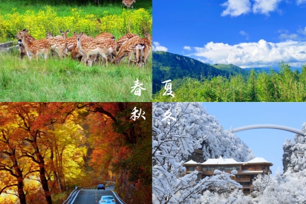 神农架景区有哪些主要景点，适合什么时候去