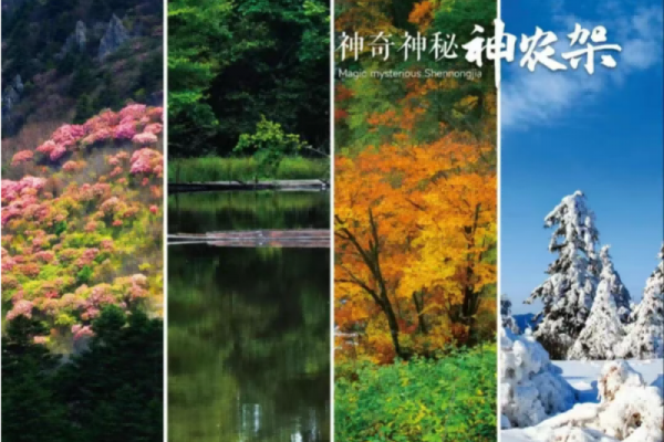 5.19中国旅游日，神农架致山水知音的诚挚邀约