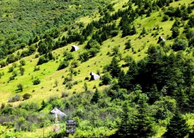 神农架纯玩无购物二日游，探秘官门山物种宝库，登顶神农顶，寻迹神农坛，邂逅天生桥