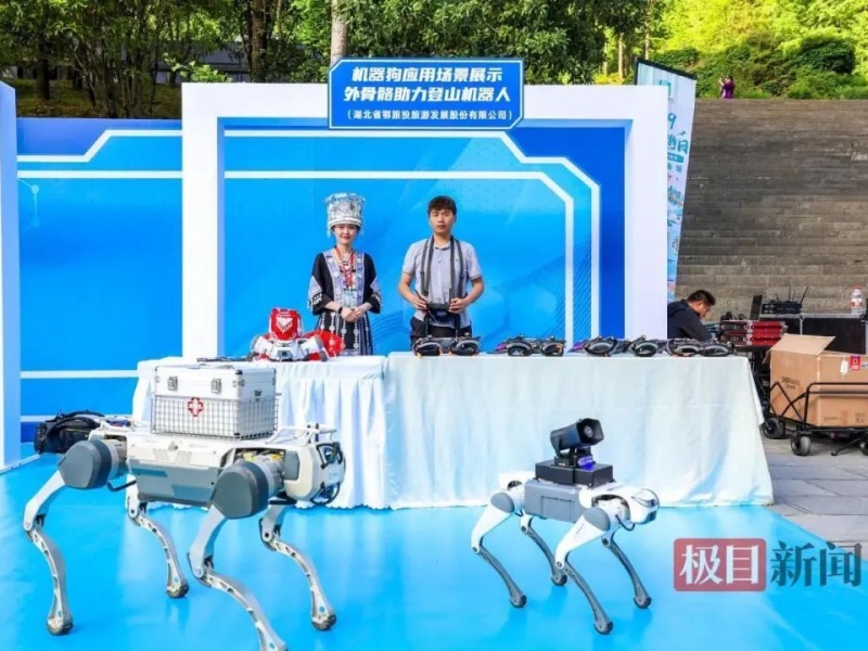 微信图片_20250520091816_副本
