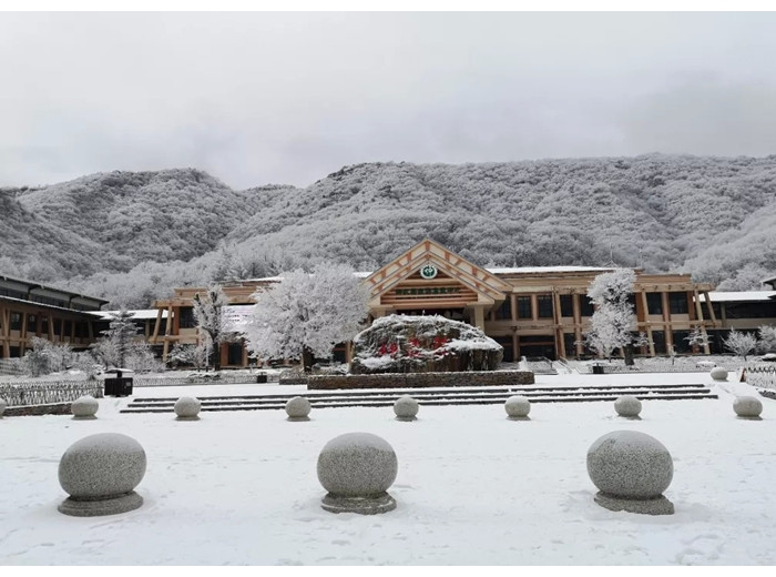 宜昌到神农架国际滑雪二日游，天天发班图2