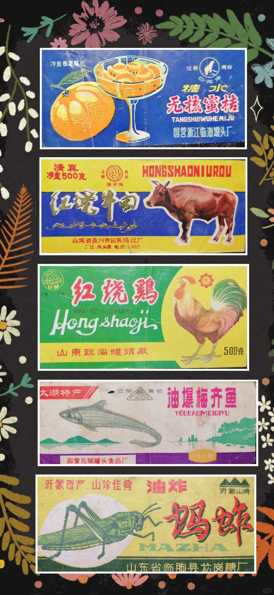 图片33