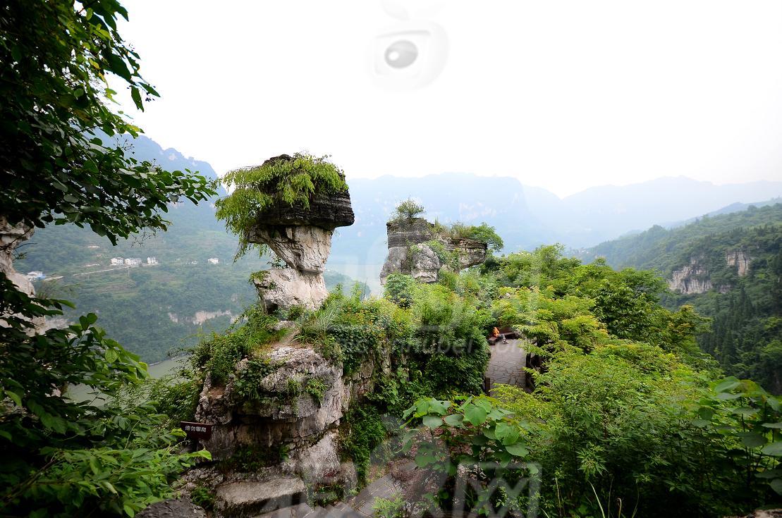 人家8