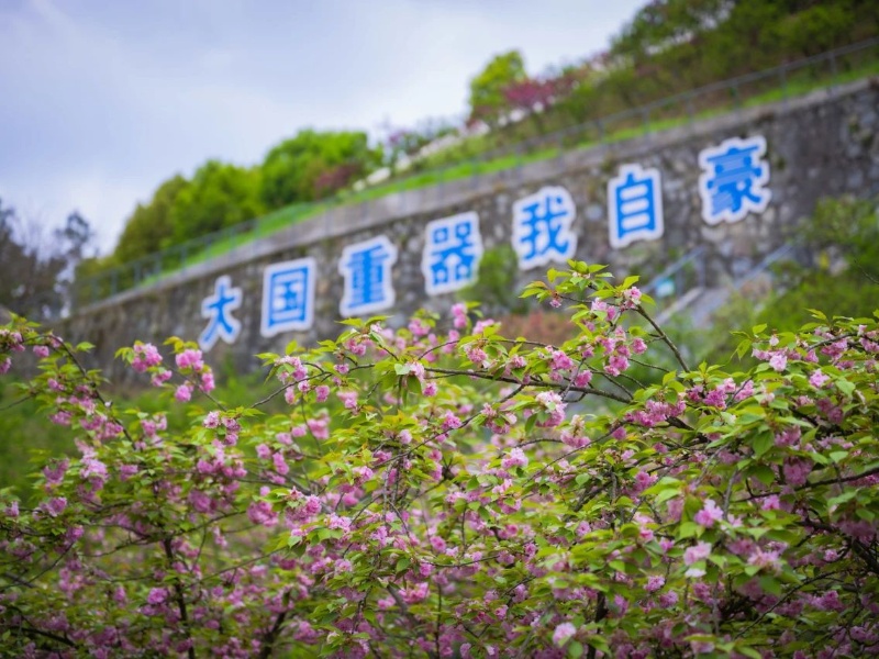 微信图片_20240425163344_副本