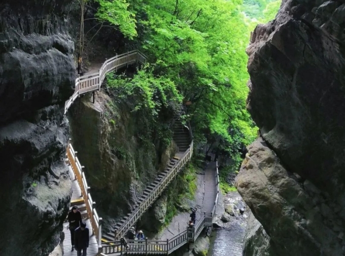 神农架二日游的主要景点介绍，跟团多少钱，费用包含及特别注意事项图3