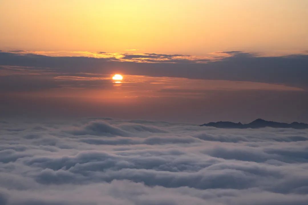 微信图片_2025-09-25_093201_857