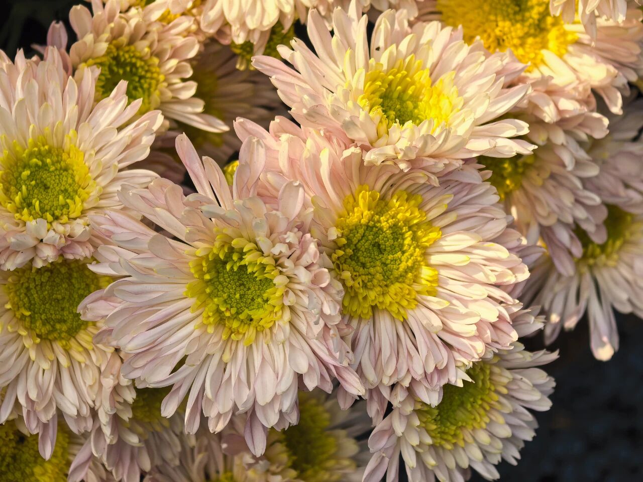 微信图片_2025-11-13_092618_120