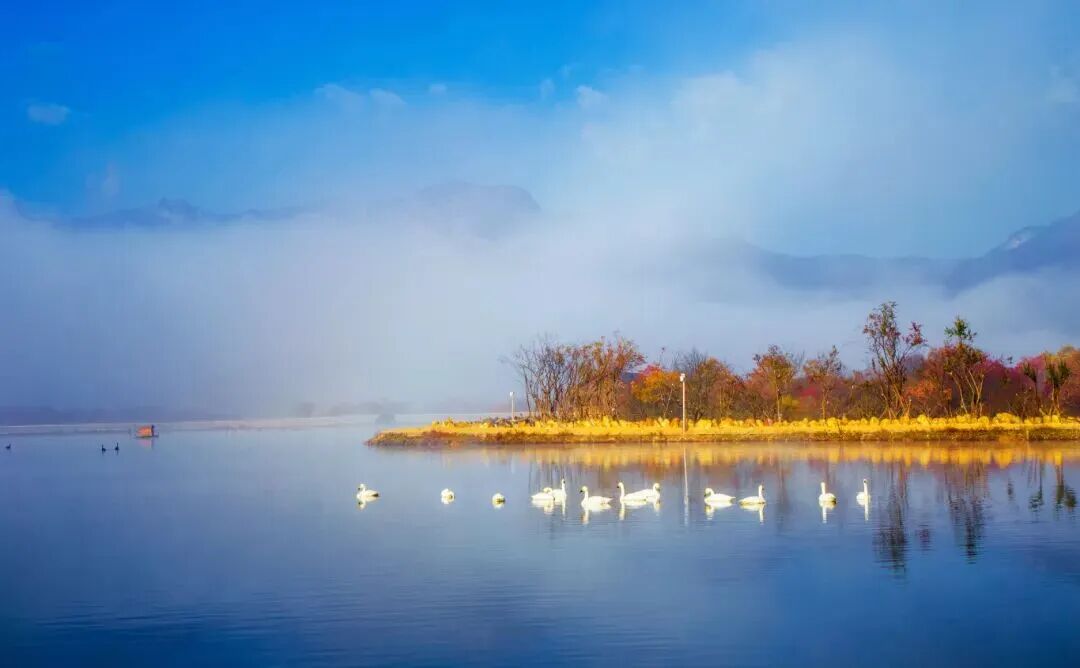 微信图片_2025-11-14_093308_711