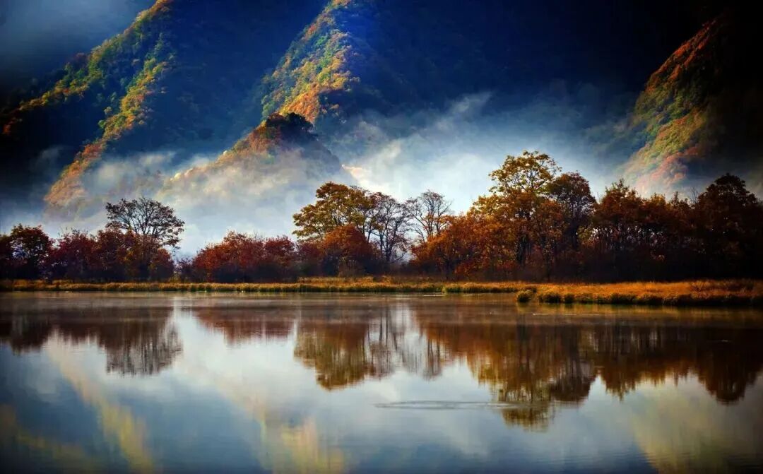 微信图片_2025-11-14_093329_326