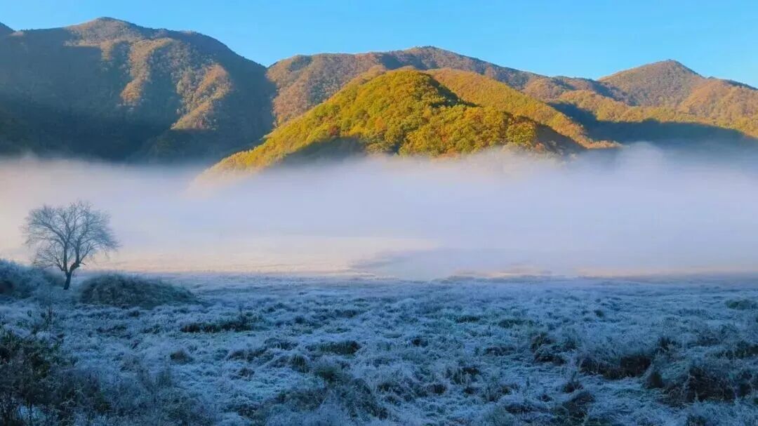 微信图片_2025-11-14_093352_166