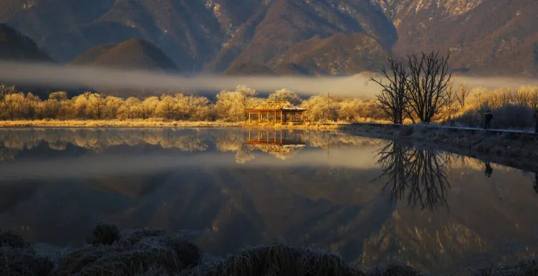 微信图片_2025-11-14_093427_758