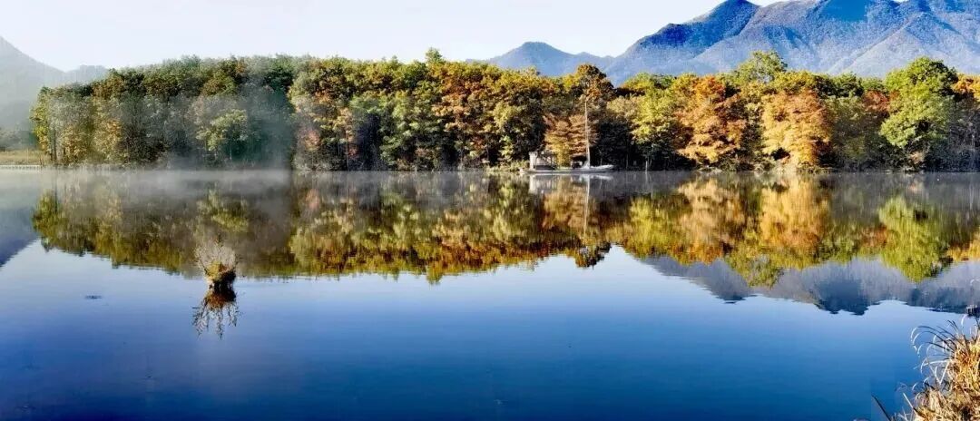 微信图片_2025-11-14_093455_902