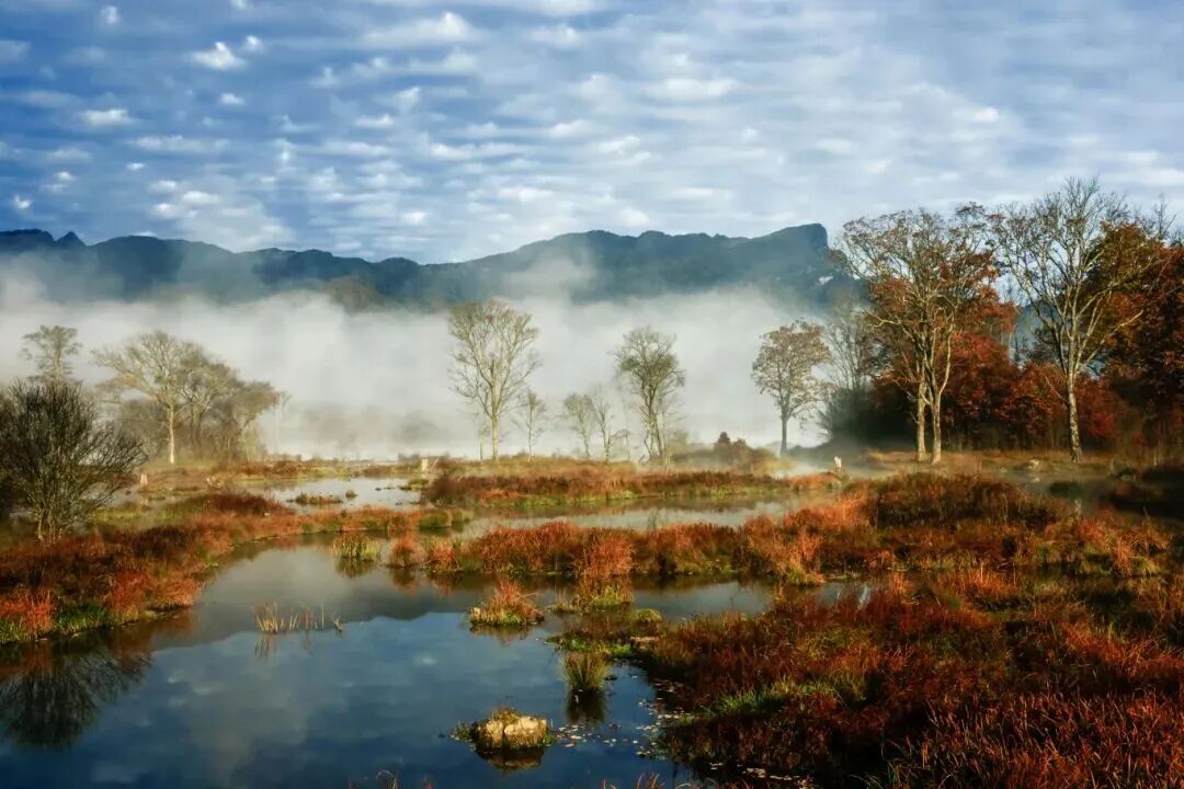 微信图片_2025-11-14_093537_487