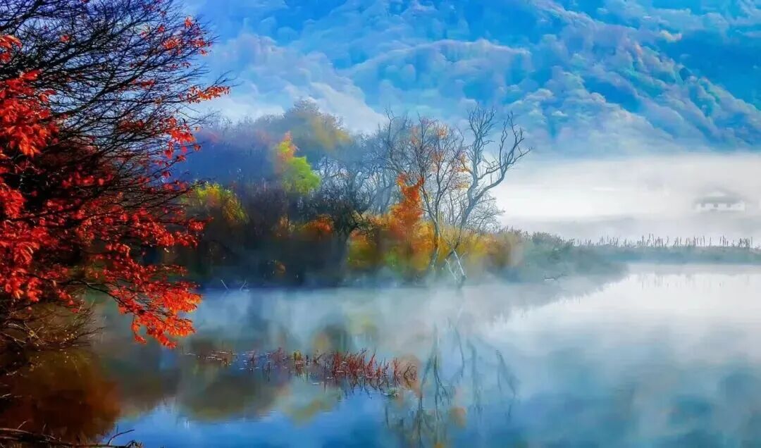 微信图片_2025-11-14_093555_062