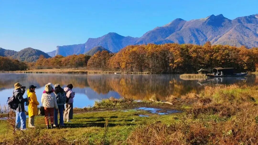 微信图片_2025-11-14_093611_478