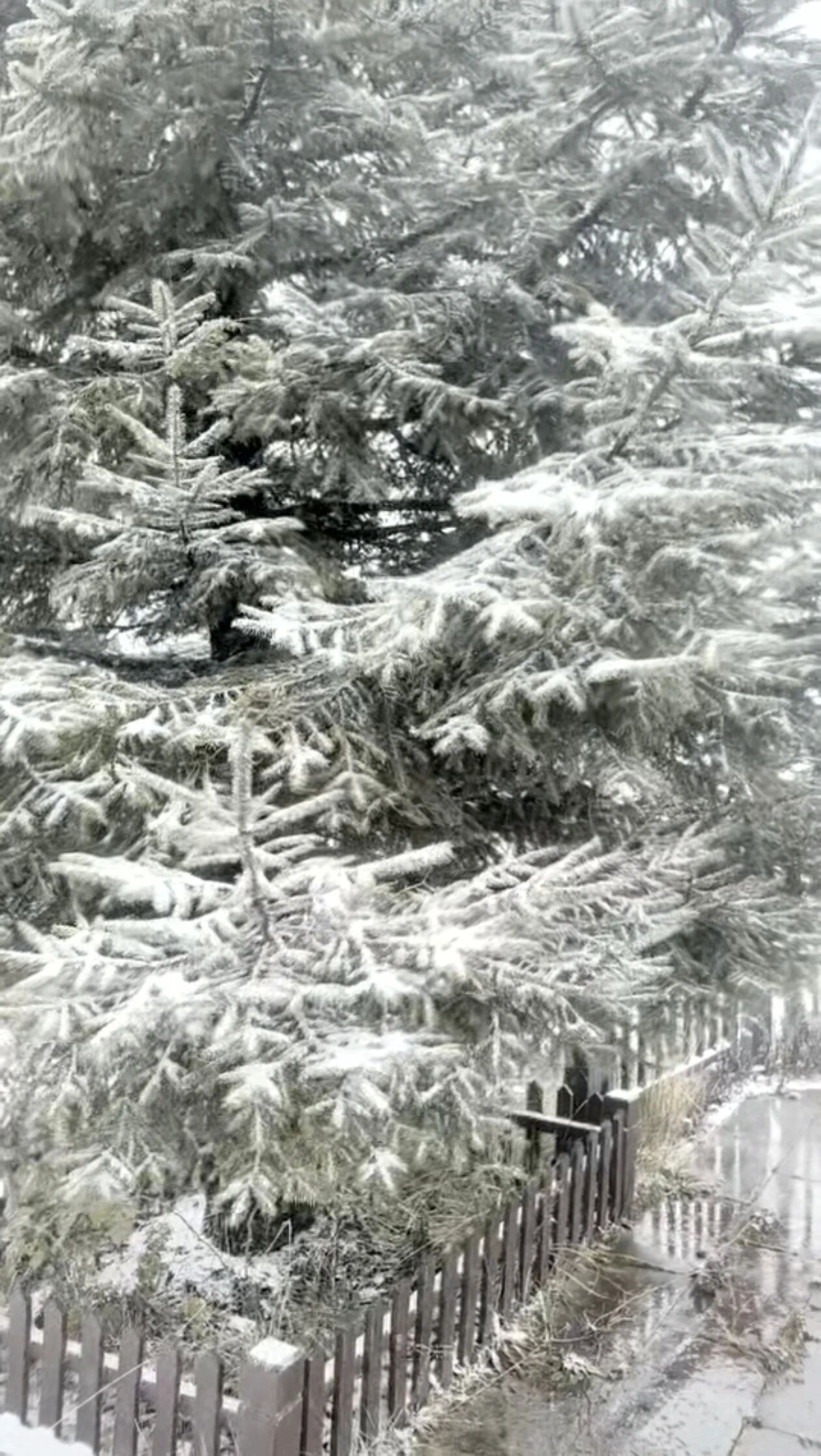 微信图片_2025-11-17_163151_003