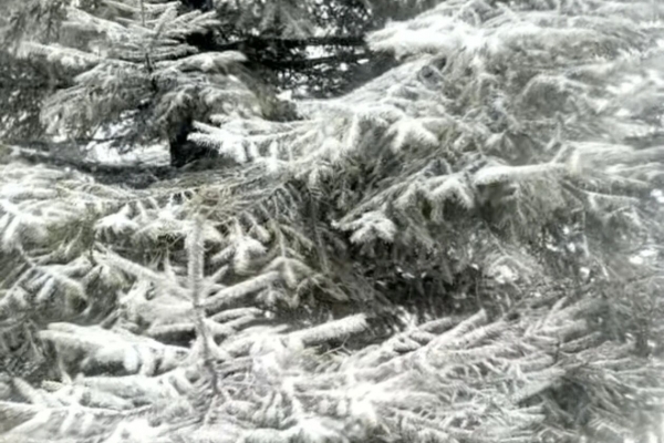 宜昌迎来2025年冬季初雪,未来几天宜昌天气如何?