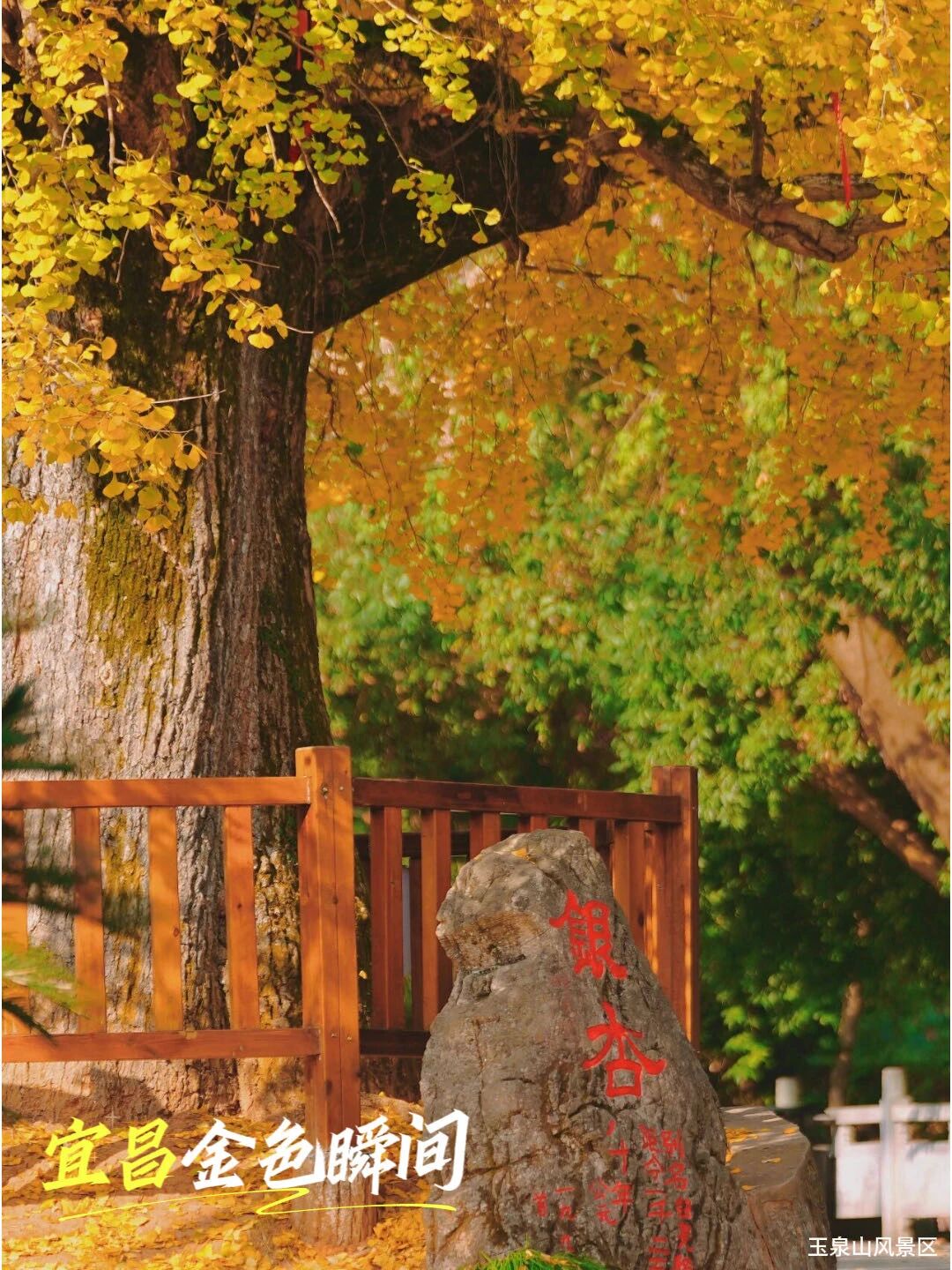 微信图片_2025-11-20_092453_593