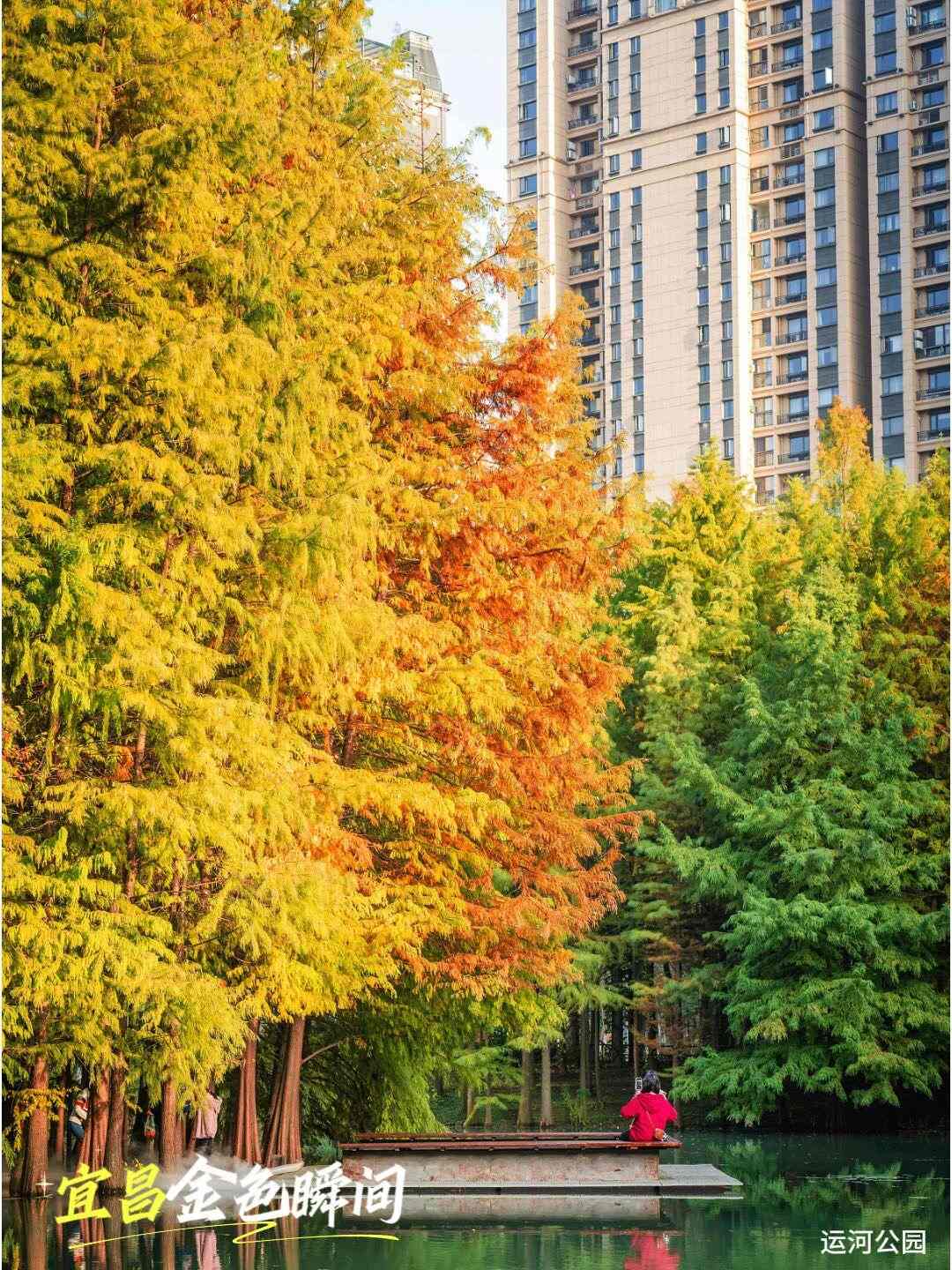 微信图片_2025-11-20_092509_920(1)