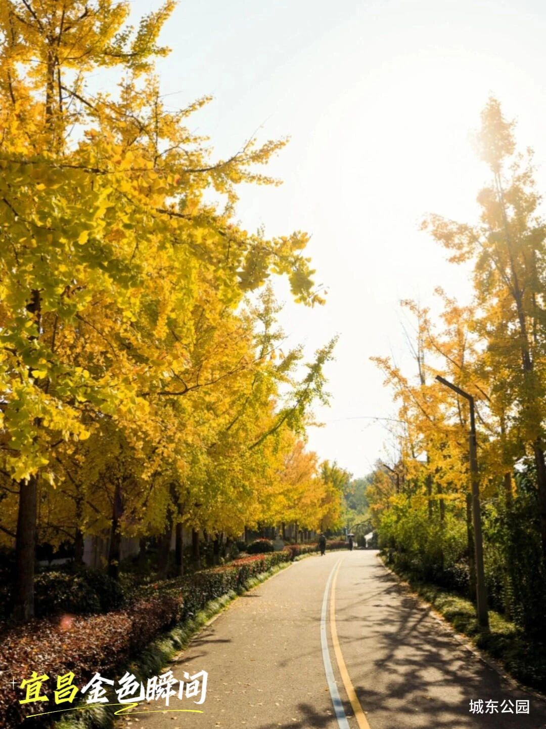 微信图片_2025-11-20_092522_608