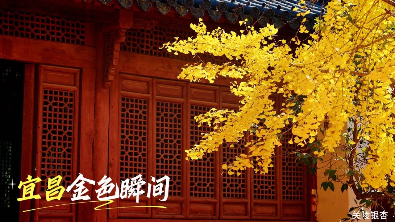 微信图片_2025-11-20_092525_880