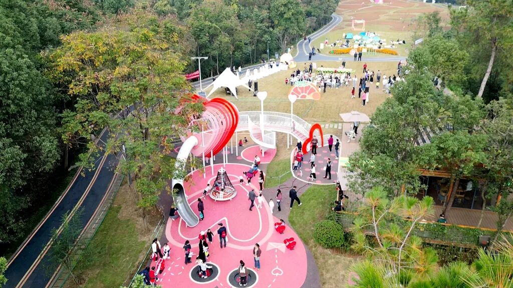 微信图片_2025-11-24_113208_203