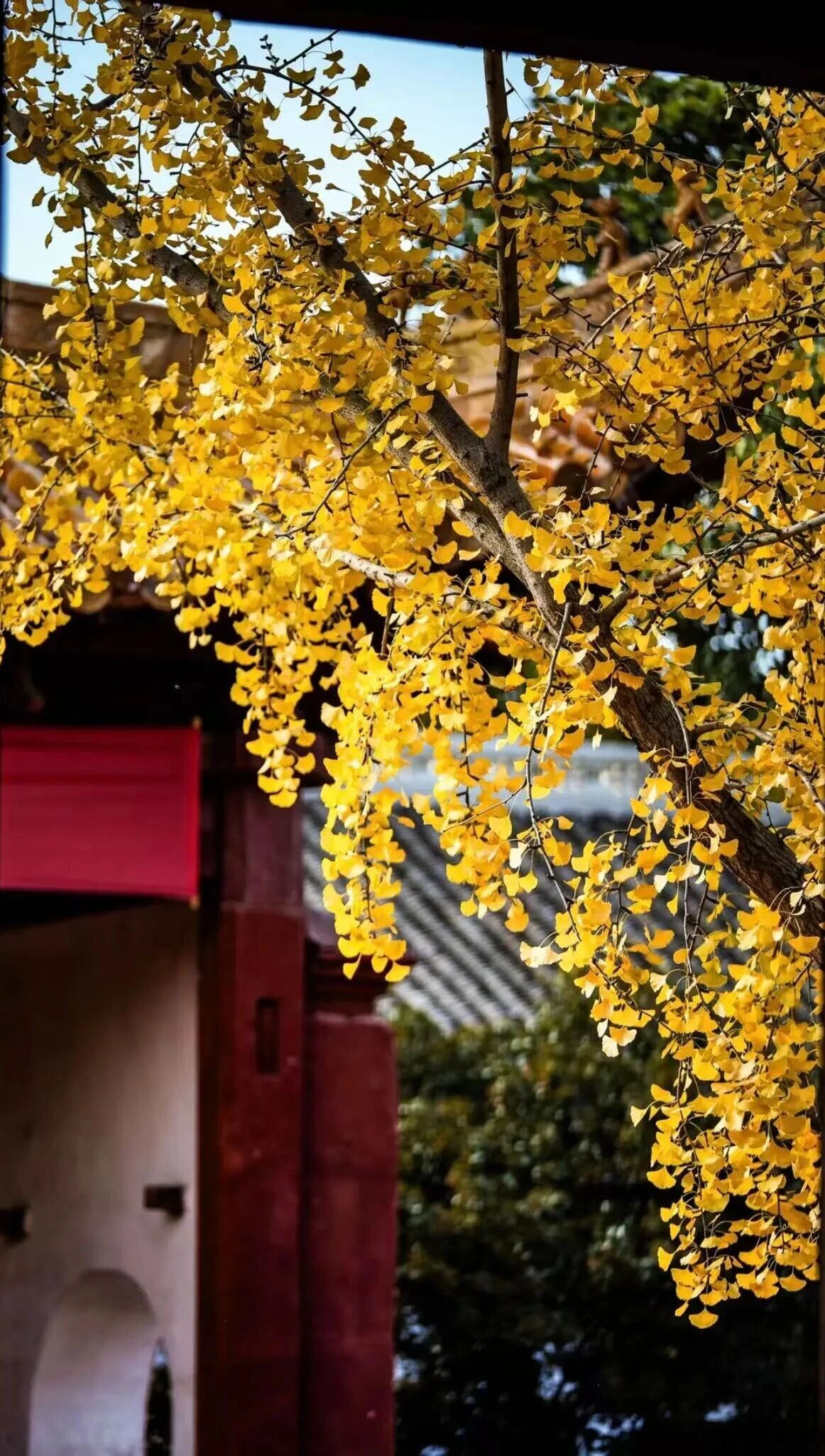 微信图片_2025-11-28_092603_608