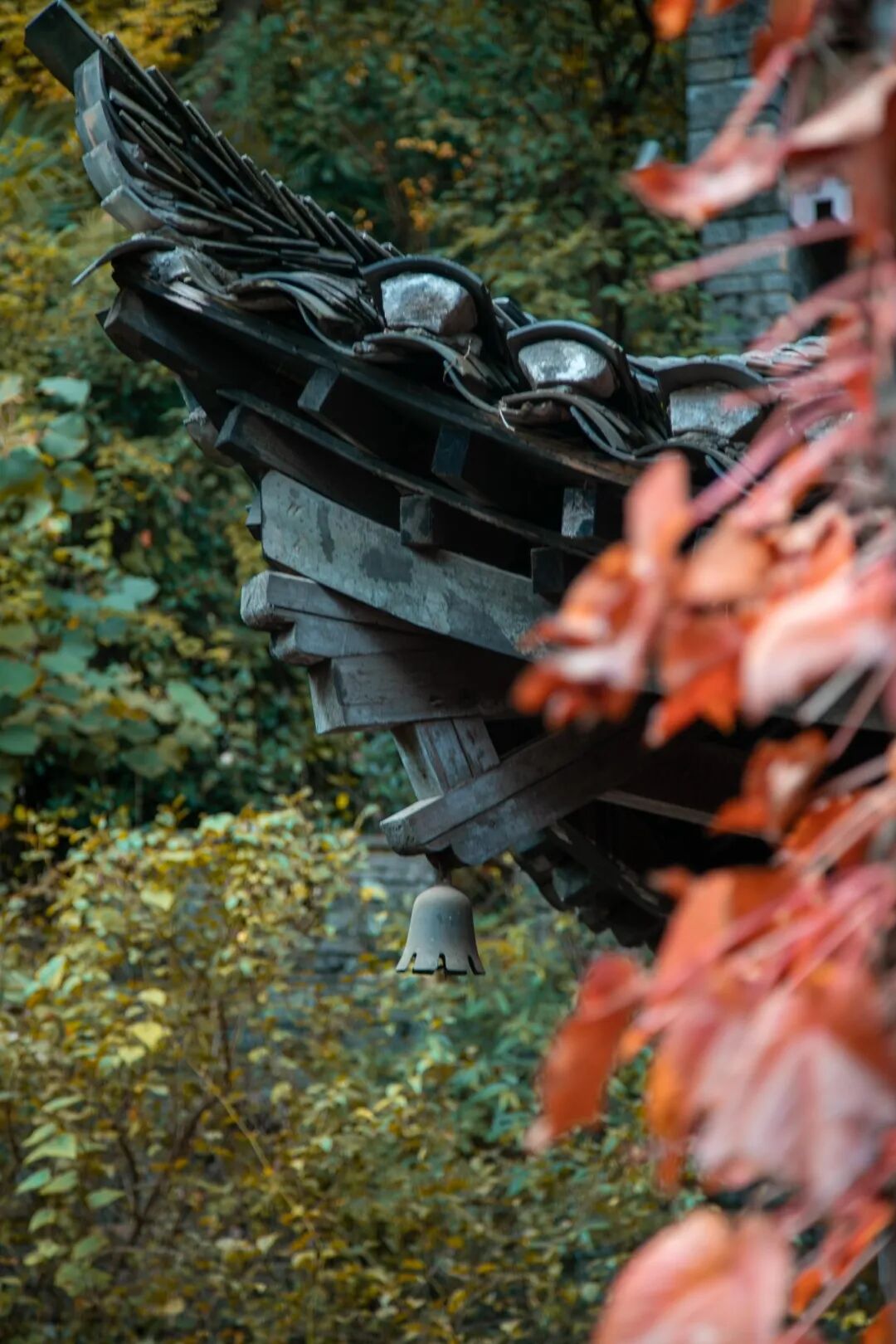 微信图片_2025-11-28_092731_310