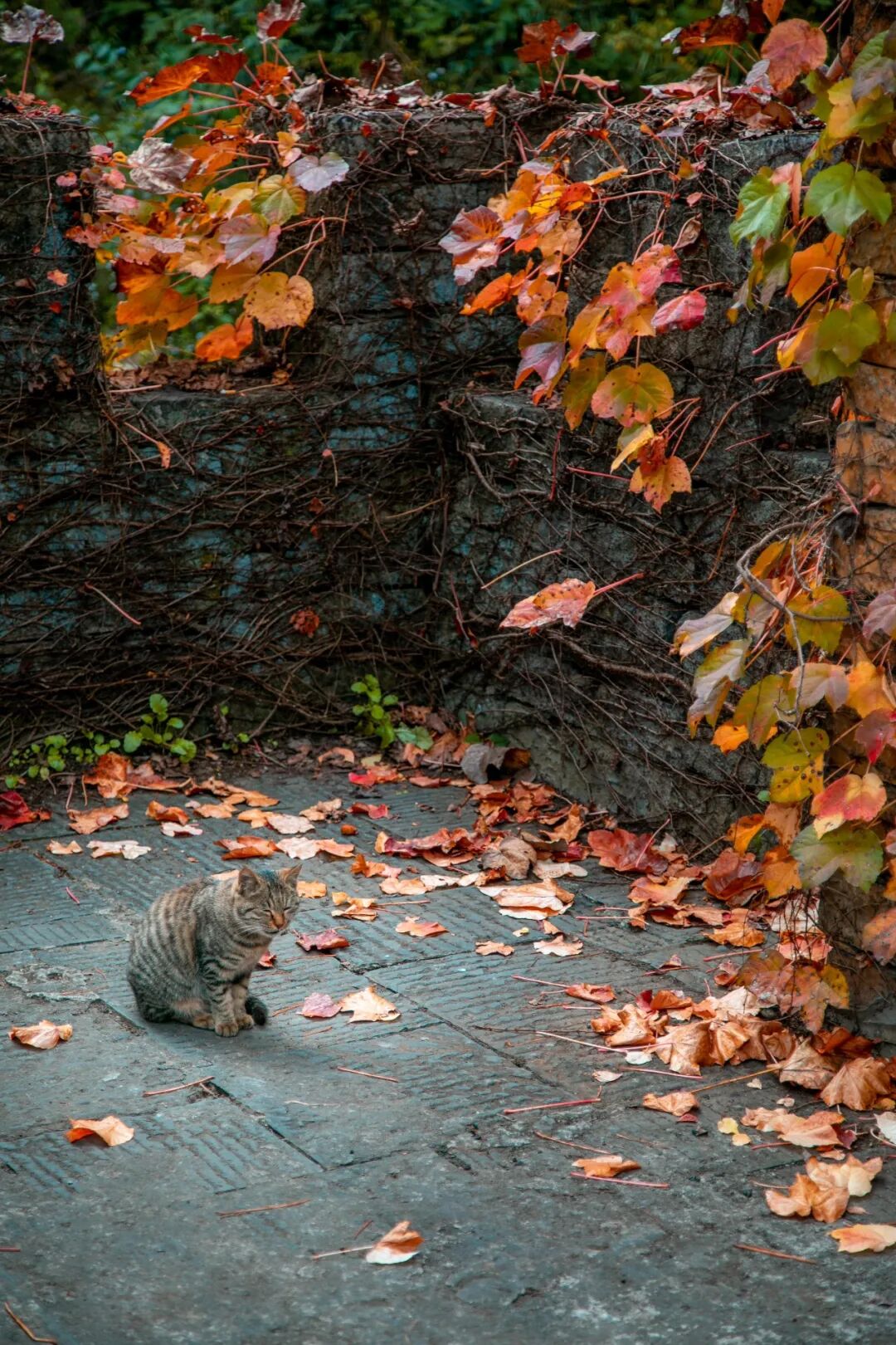 微信图片_2025-11-28_092748_823