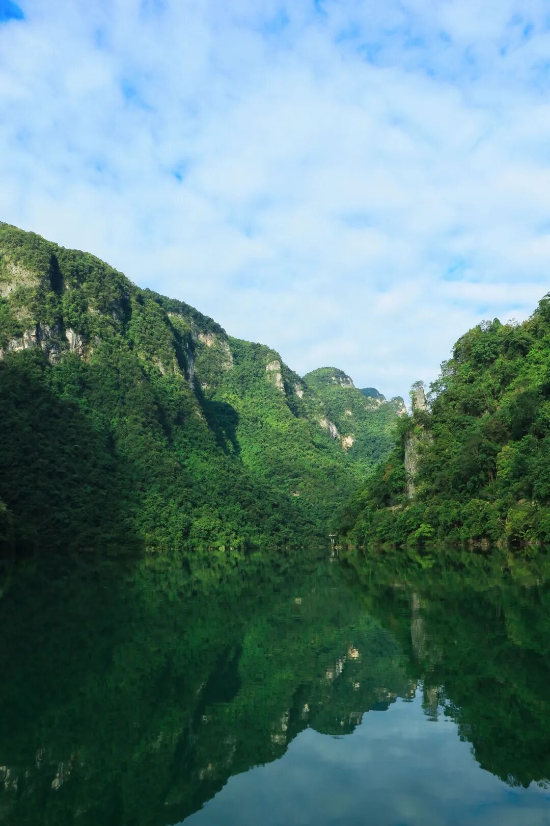 微信图片_2025-11-28_093325_479