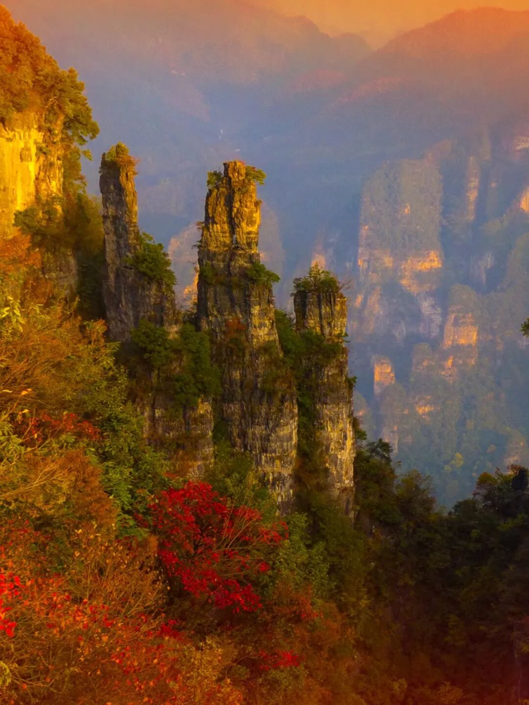 微信图片_2025-11-28_093358_903