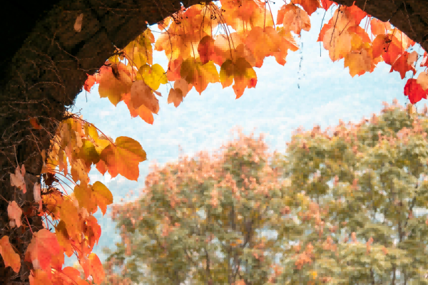 宜昌的这些景点在秋日的映衬下，简直美到窒息