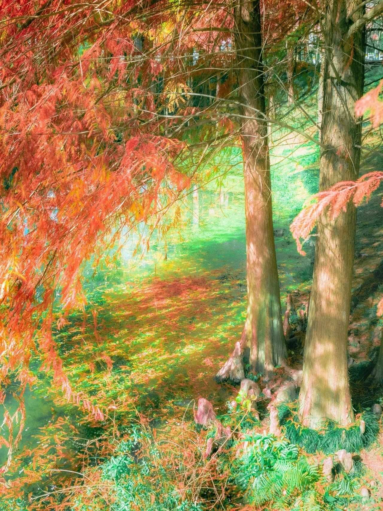 微信图片_2025-12-03_090913_142