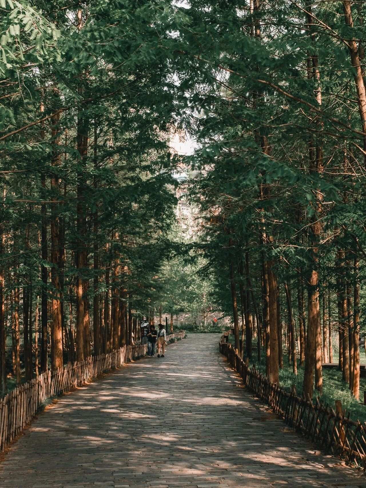 微信图片_2025-12-03_090932_420