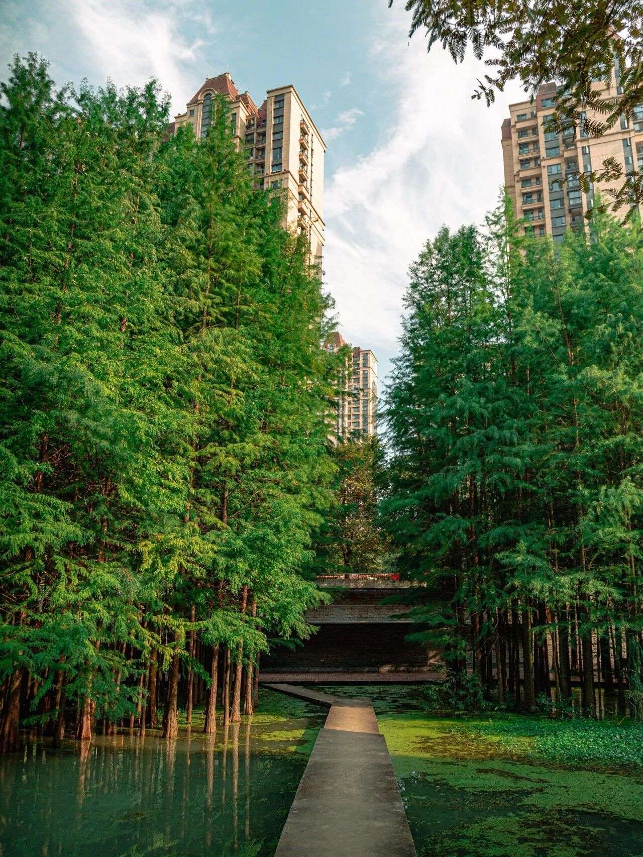 微信图片_2025-12-03_090935_107