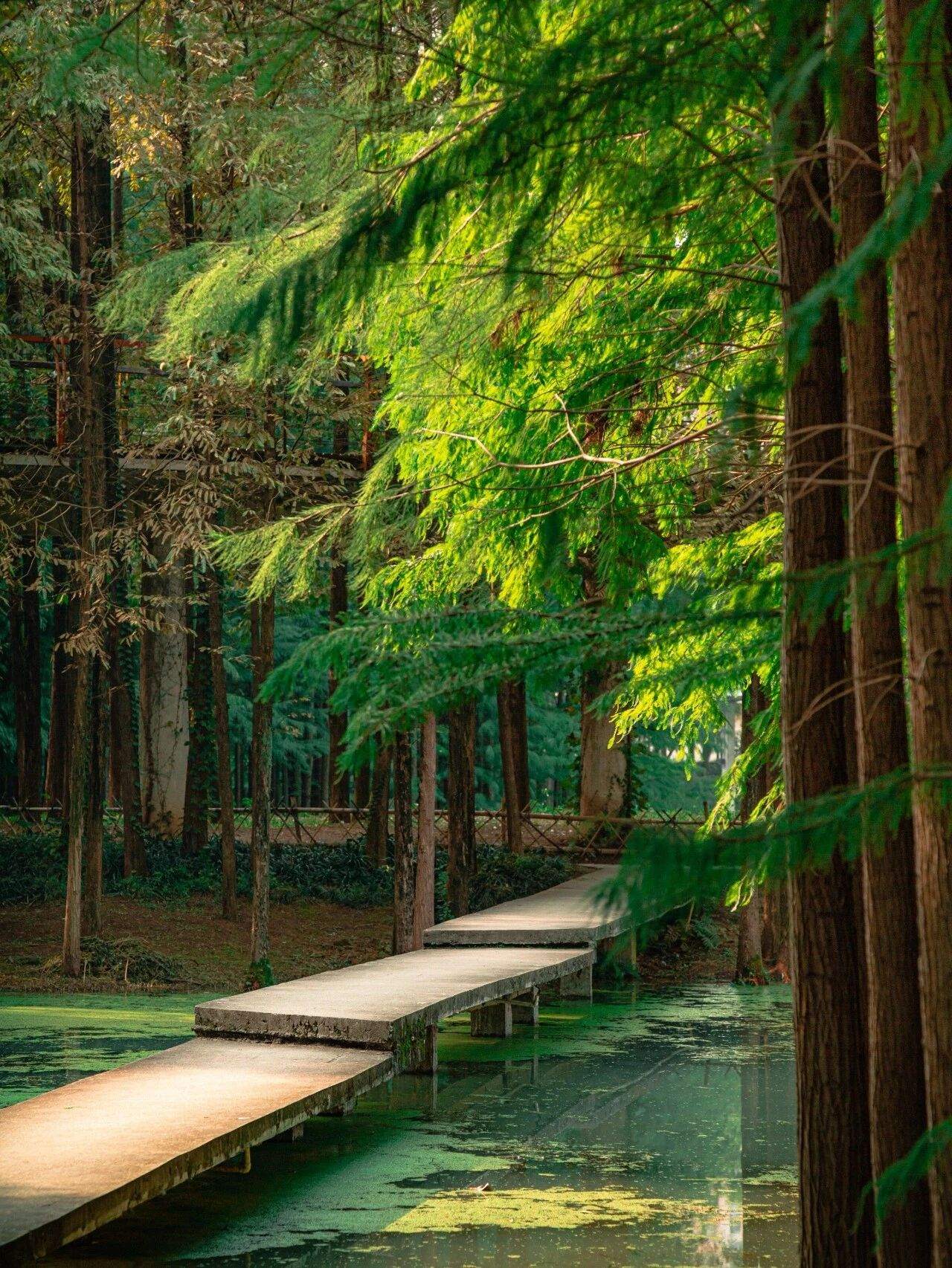 微信图片_2025-12-03_090945_380