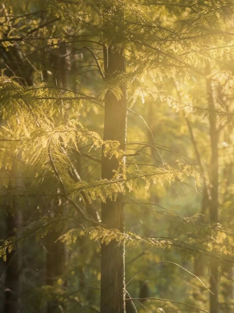 微信图片_2025-12-03_090953_340