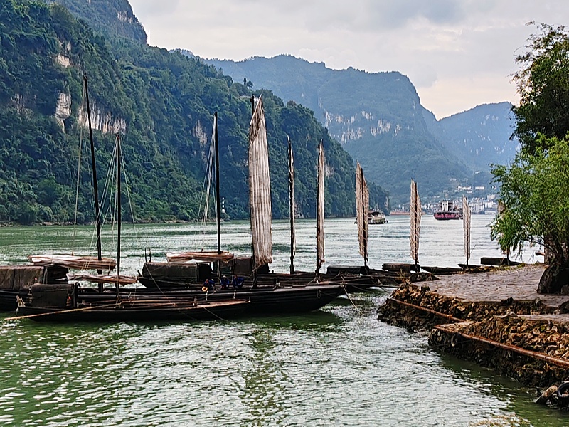 IMG_20231010_143641_副本