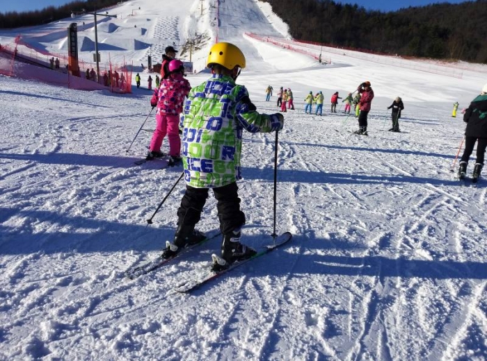 宜昌到神农架国际滑雪二日游,天天发班图3