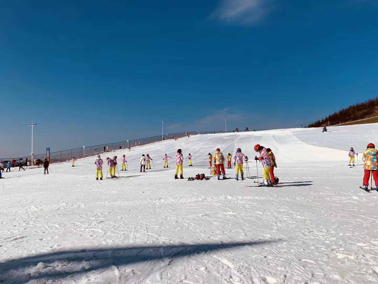 微信图片_20231123113659