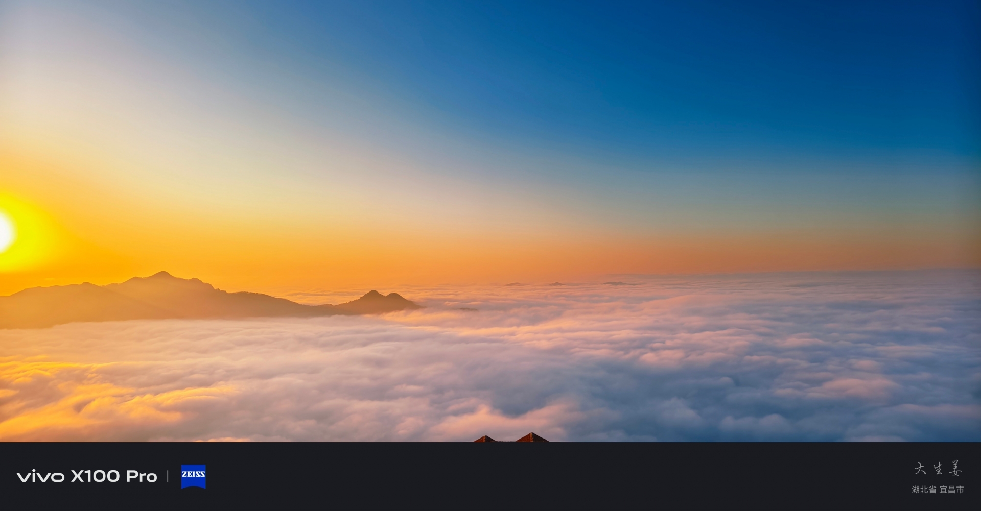 微信图片_20240112111756(1)