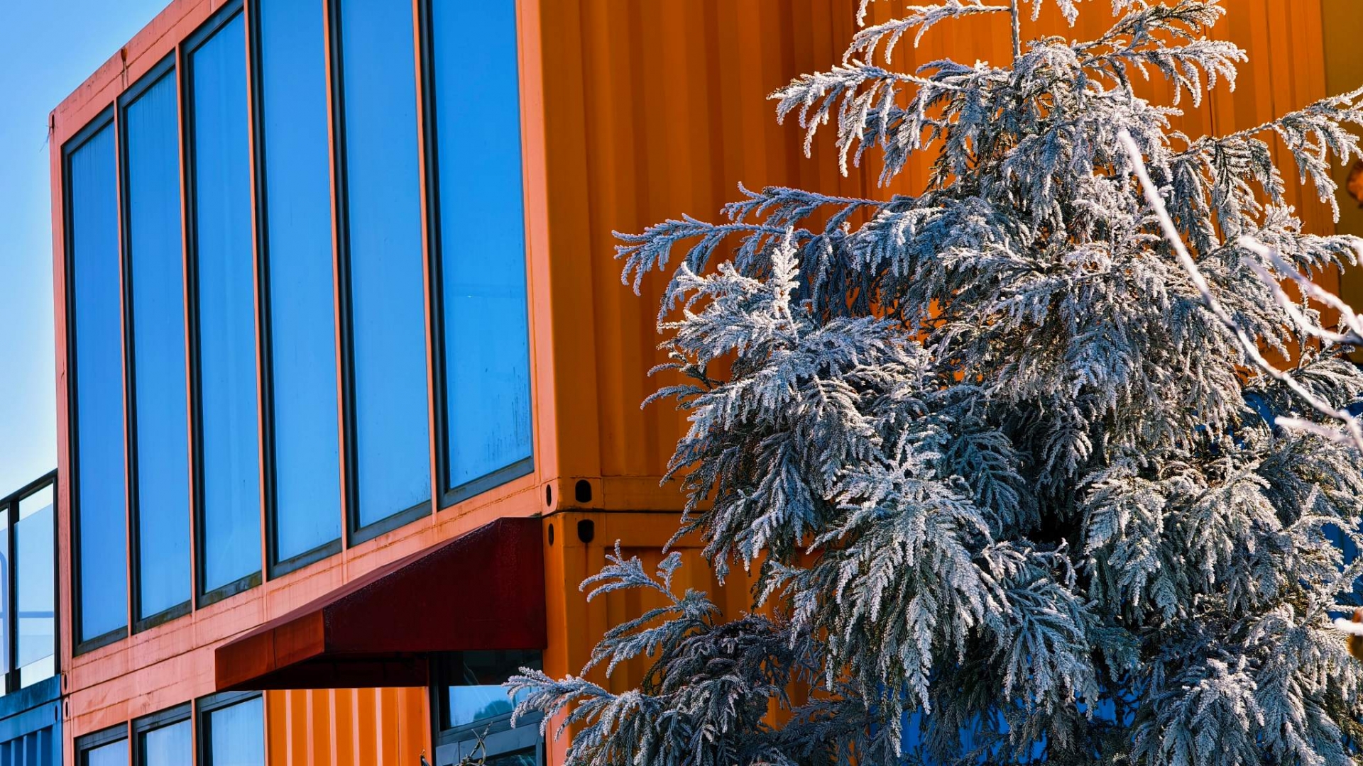 微信图片_20241223162452(1)