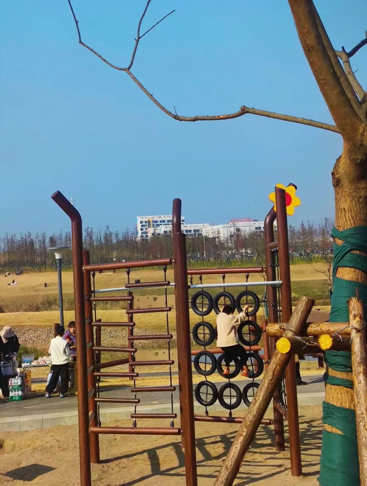 微信图片_2026-01-07_095913_943