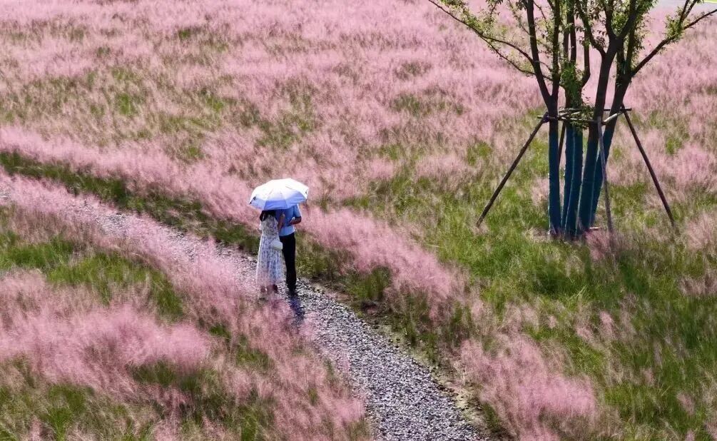 微信图片_2026-01-07_100003_537